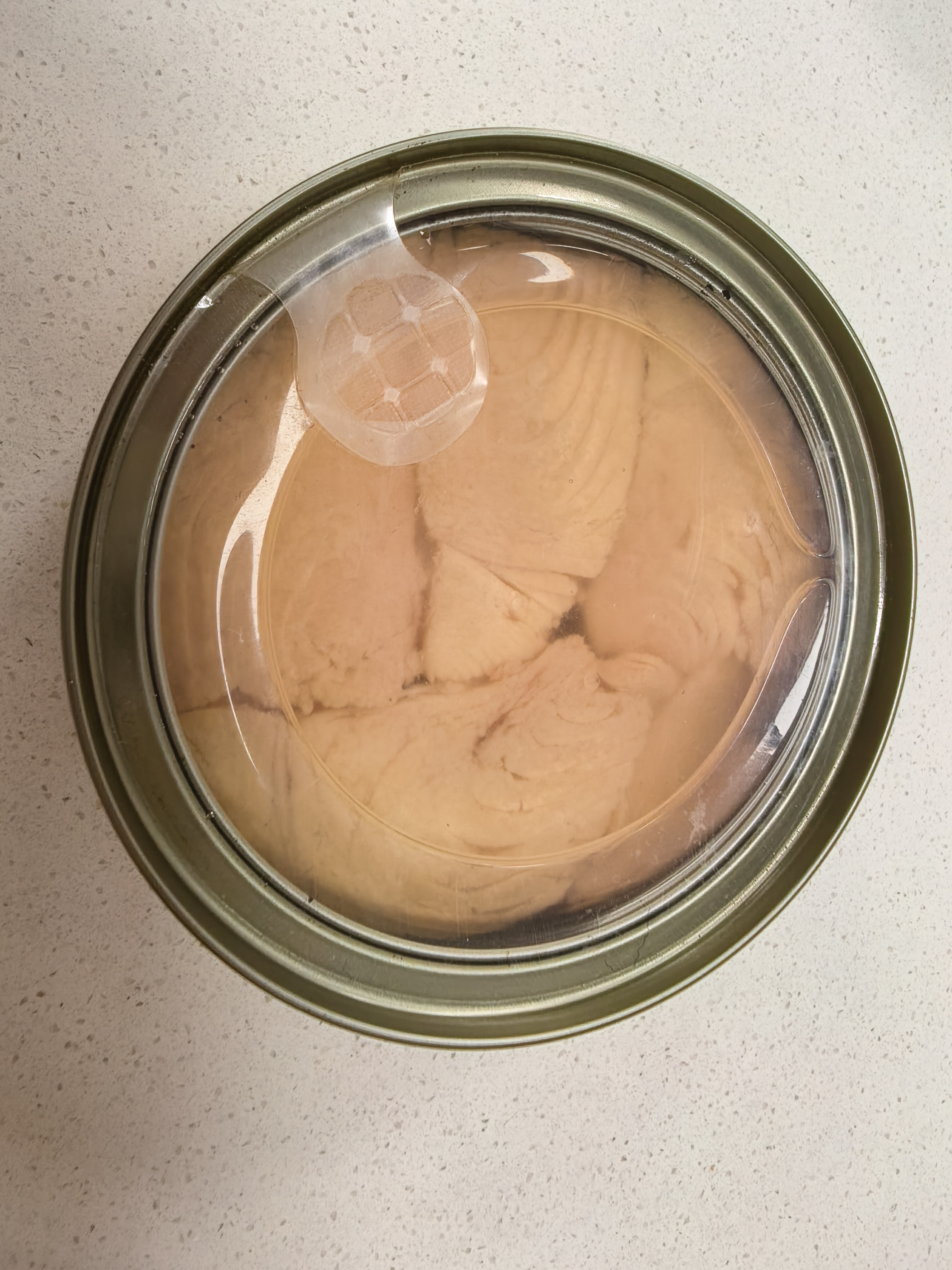 Canned Tuna Requires No Preservatives for Preservation! High-Temperature Process Is the Secret Behind Its Long Shelf Life