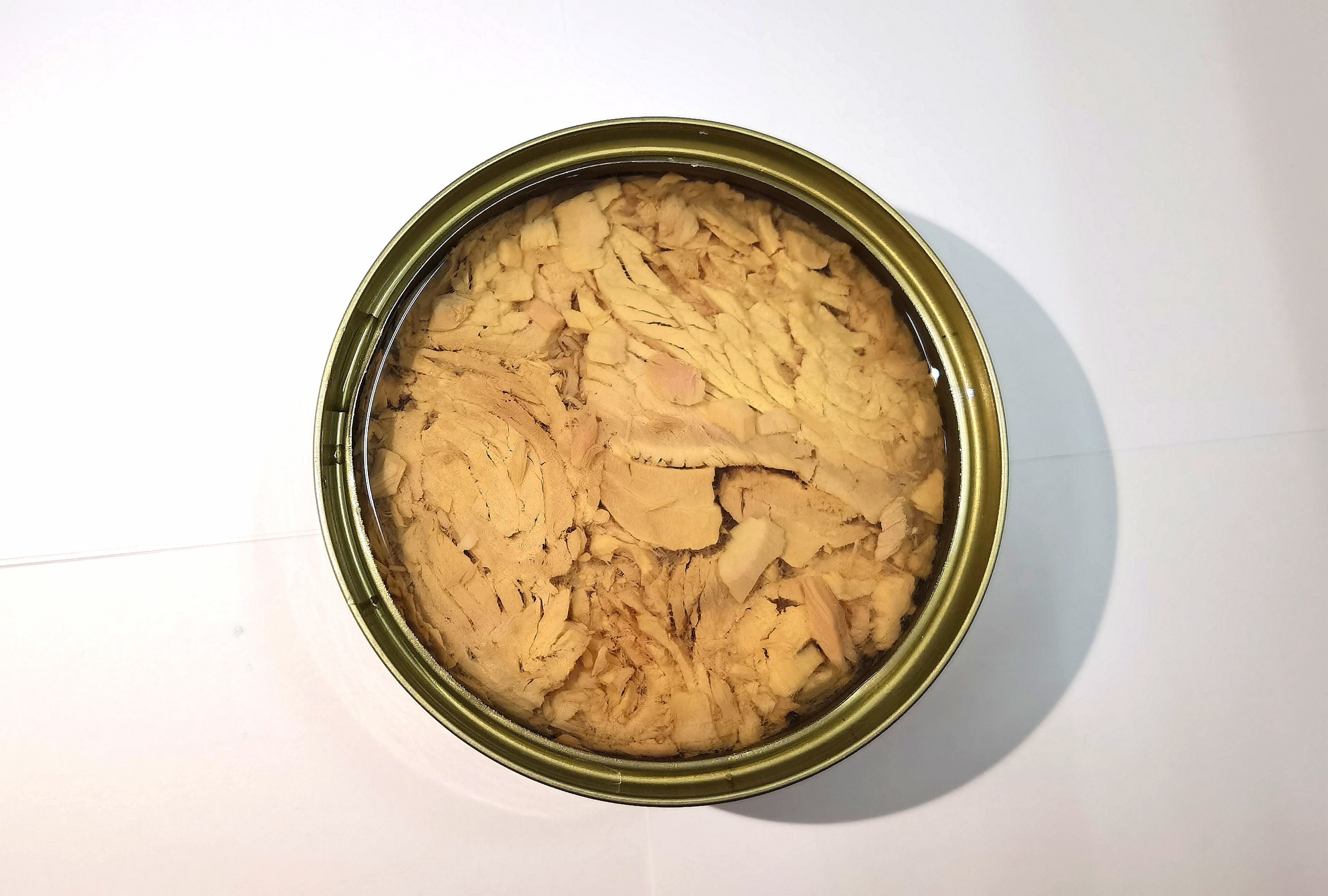 The Global Rise of Tuna Canned Products